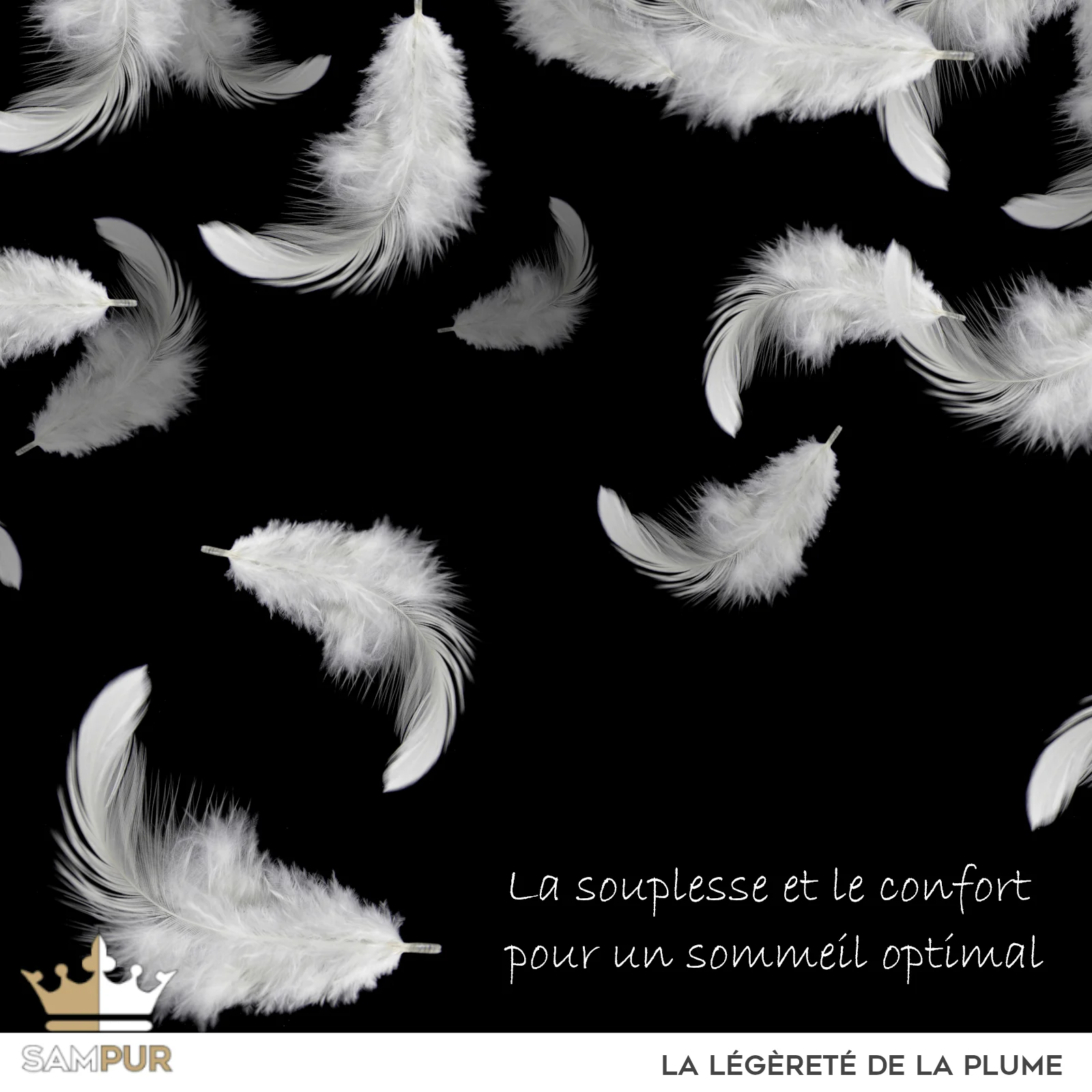 Traversin ergonomique, plumes de canard, duvet, tissu coton - Collection Luxe - Image 12